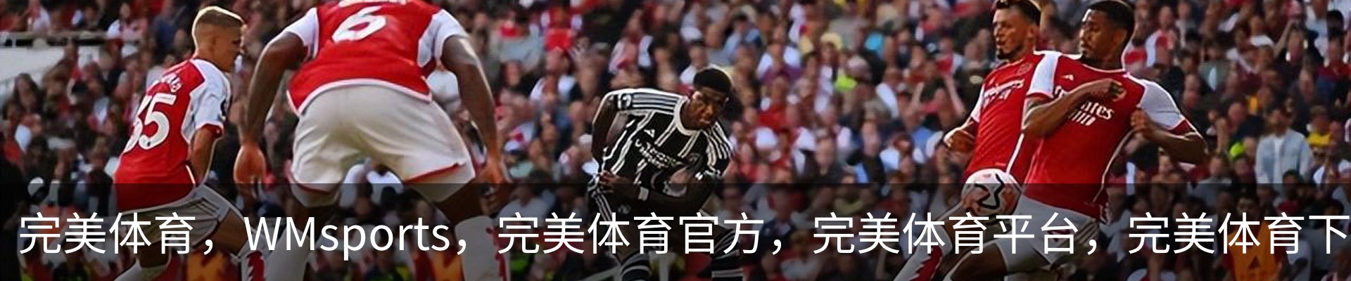 完美体育，WMsports，完美体育官方，完美体育平台，完美体育下载简介